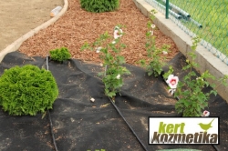 geotextil + csepegtetőcső + fenyőkéreg (16)